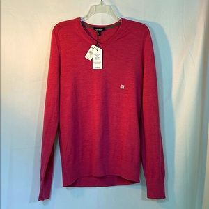 Women’s Express Merino Wool Blend V-Neck Sweater